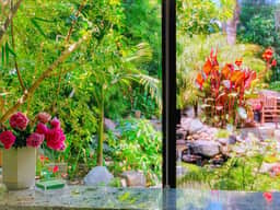 🌿 The L I L Y  P A D 🌿| Tiny Living | Urban Oasis - Image 3