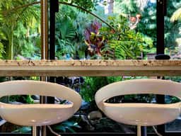 🌿 The L I L Y  P A D 🌿| Tiny Living | Urban Oasis - Image 2