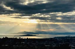 🌿 Serene Sunset Cottage 🌿 – San Francisco Bay View - Image 3