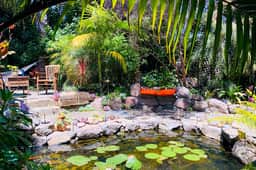 California Craftsman — Urban Oasis / Serene Garden - Image 3