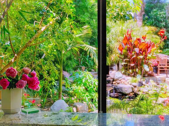 🌿 The L I L Y  P A D 🌿| Tiny Living | Urban Oasis - Image 3